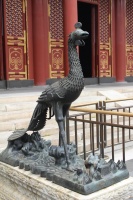 IMG_8851.JPG